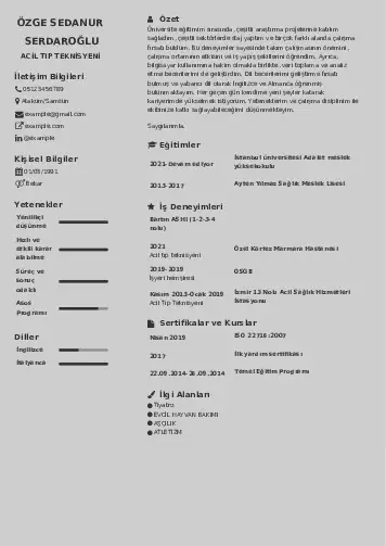cv indir